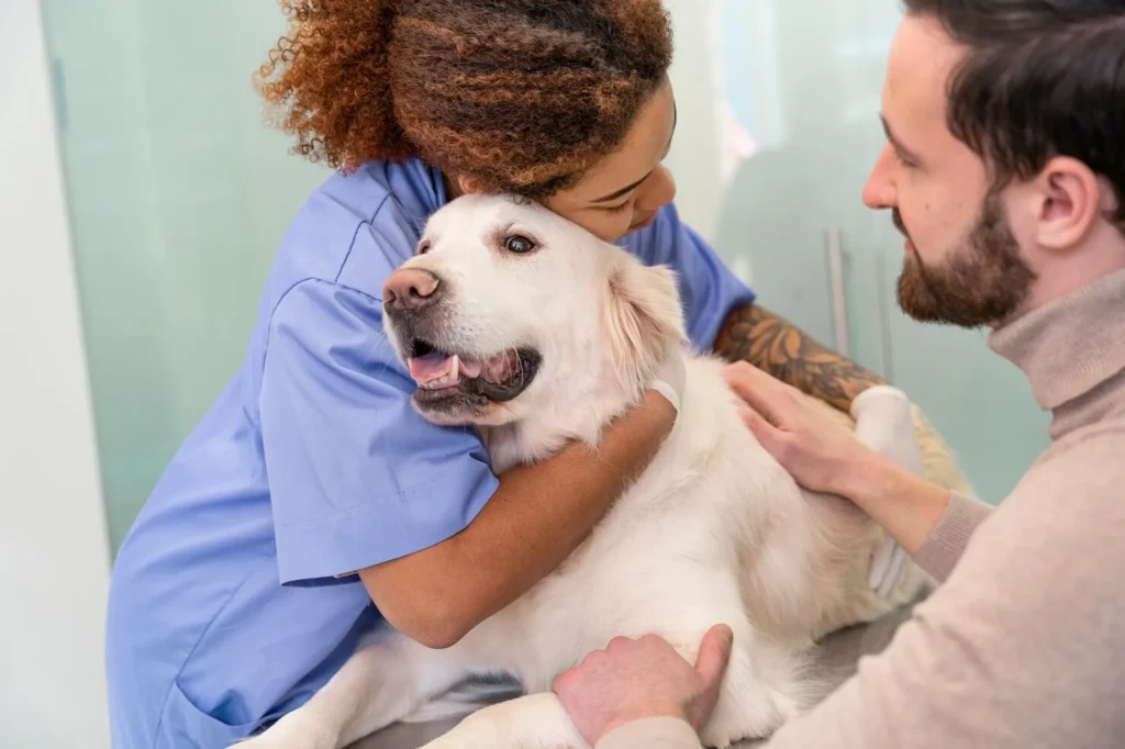 Veterinary staff comforting a dog with compassionate, attentive care