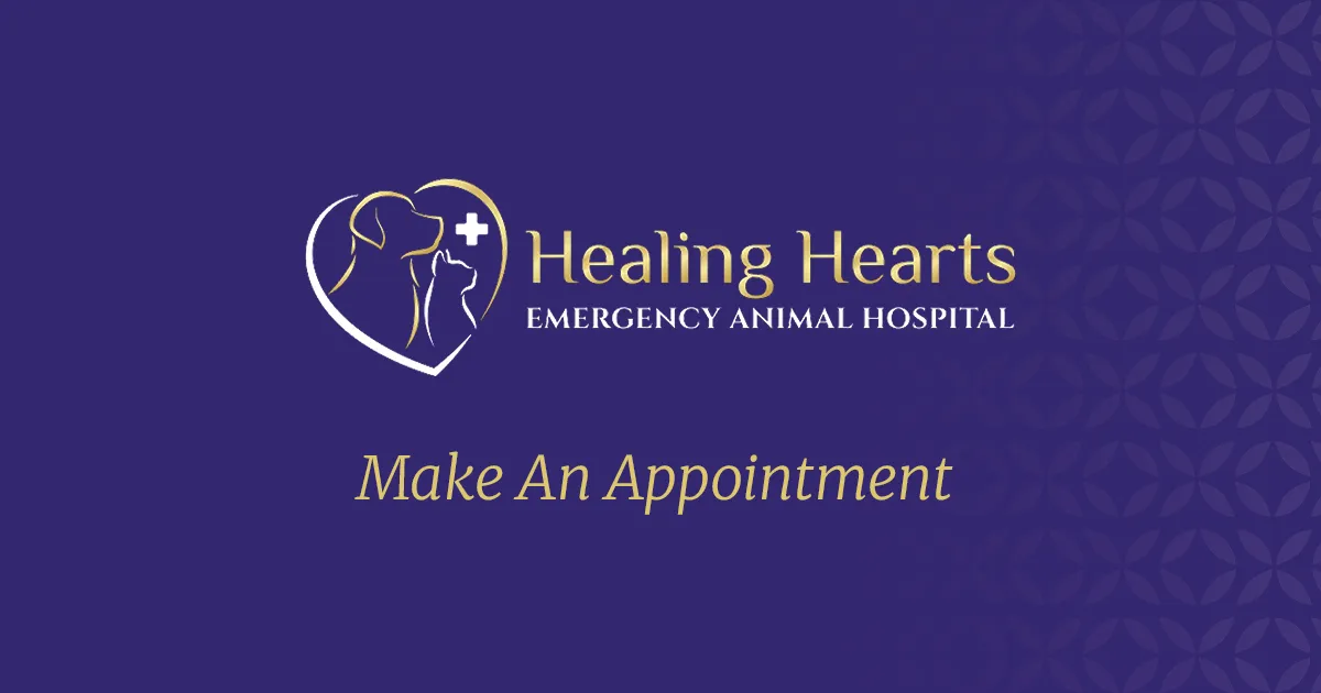 Make An Appointment - Healing Hearts Specialty & Emergency Animal