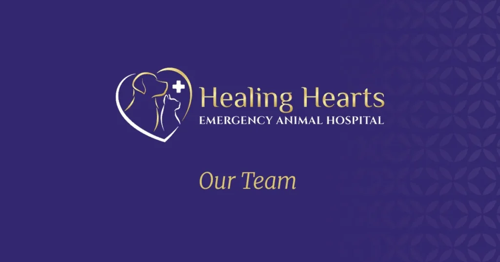 Our Team - Healing Hearts Emergency Animal Hospital
